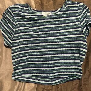 Blue and White Fitted Crop T-Shirt